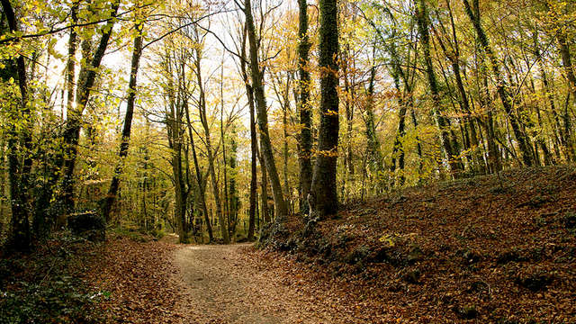 Salles Hotel Mas Tapiolas