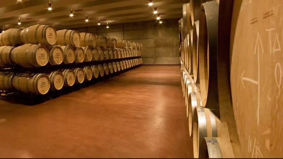 Enologia en las orillas del Duero con visita al Museo del Vino Ribera del Duero y cata de vinos