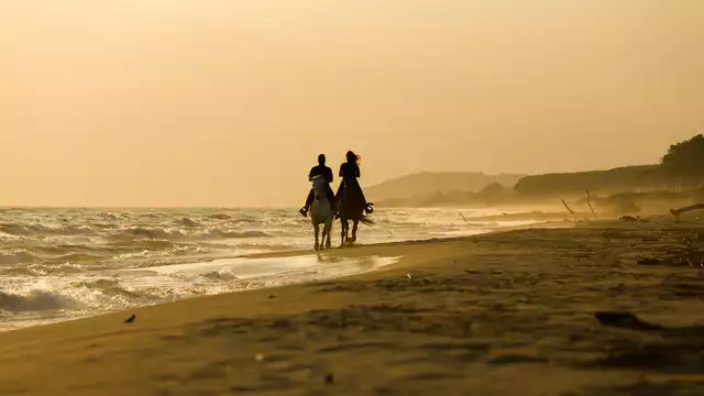 Alla scoperta di Doñana con passeggiata e alloggio in hotel incantevole