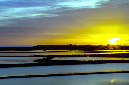 Découvrez le salines de San Pedro del Pinatar en studio avec petit-déjeuner, parking et cava