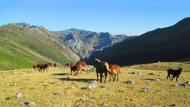 Minivacaciones en plena naturaleza leonesa con cena, spa y vaporarium (desde 3 noches)