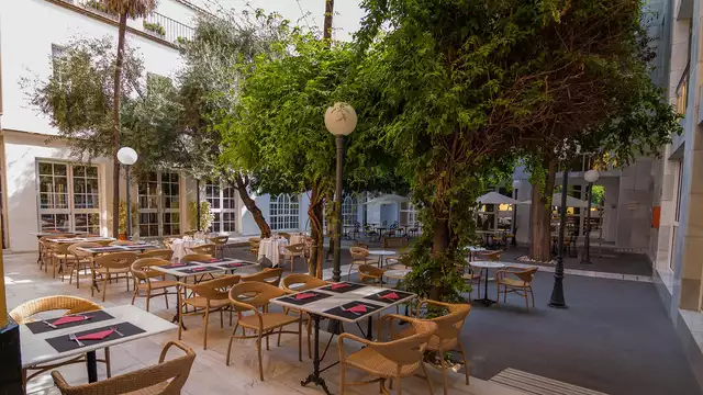 Vacaciones en el centro de Sevilla con visita del Acuario