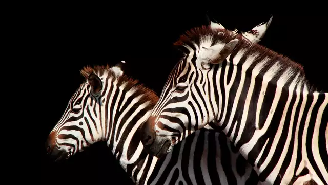 Landelijk uitje met ontbijt en tickets voor het Parque de Cabárceno