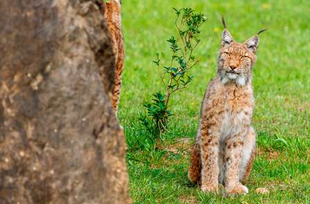 Week-end romantique avec visite d'un parc naturel et petit-déjeuner inclus