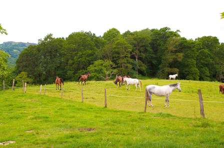 Profitez d'un paradis naturel à cheval dans les Asturies (à partir de 2 nuits)