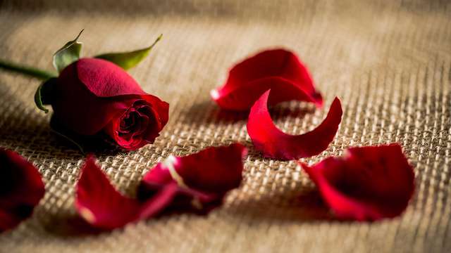 Lujo y romanticismo en Bruselas