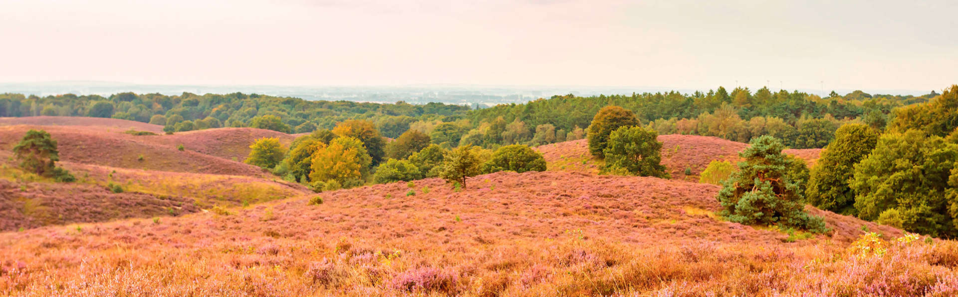 Fletcher Hotel Restaurant De Wipselberg-Veluwe - edit_destination1.jpg