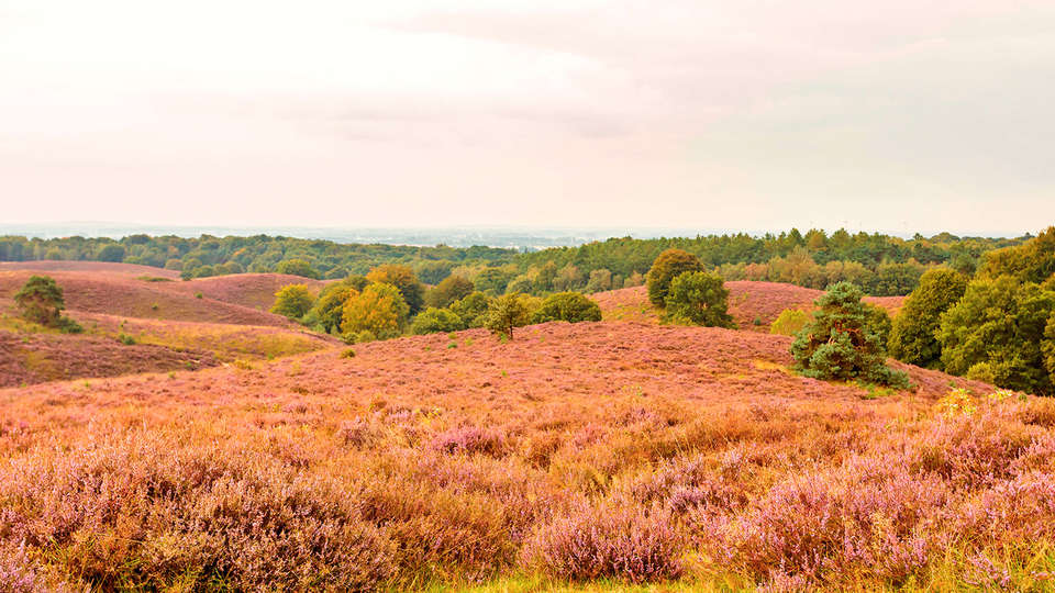 Fletcher Hotel Restaurant De Wipselberg-Veluwe - edit_destination1.jpg