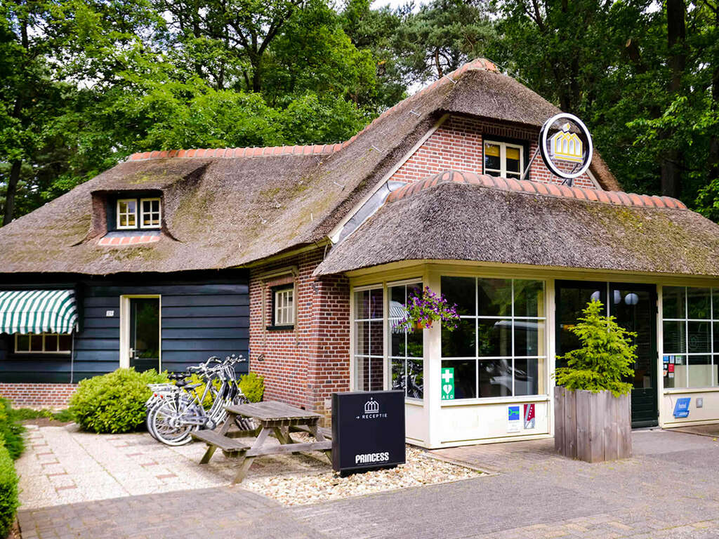 Profitez du calme et de la tranquillité dans la magnifique réserve naturelle de Veluwe - 4*