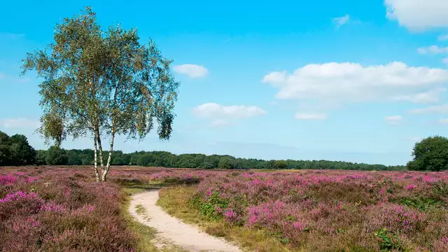 Promo 3=2: escapada de fin de semana en la hermosa Amersfoort, alójate 3 noches y paga 2