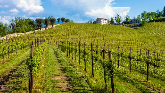 À la découverte de Valdobbiadene et de ses trésors
