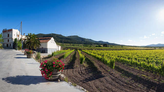 Naturaleza y cata en las bodegas Mas Vicenç en las montañas de Prades