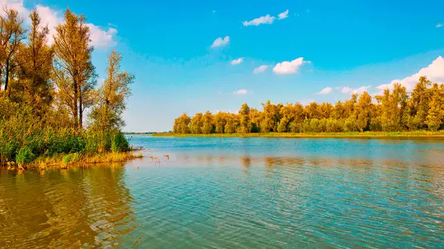 Relax en plena naturaleza en Rotterdam