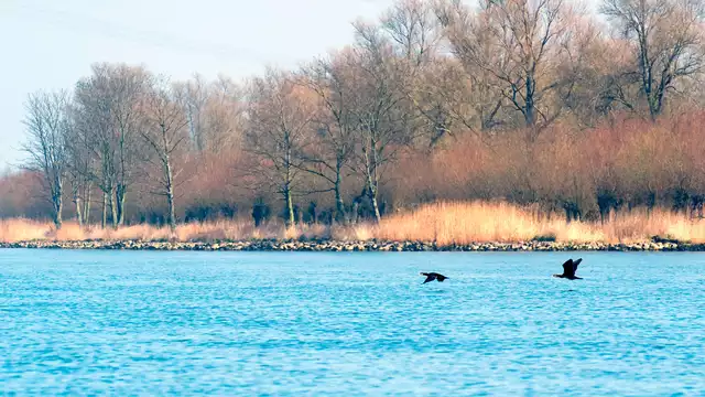 Descubrir la zona fluvial de Gorinchem en bicicleta