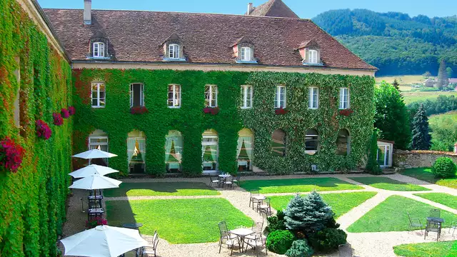 Visita di una cantina in Borgogna a un ora da Beaune