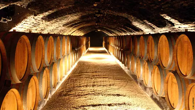 Visita di una cantina in Borgogna a un ora da Beaune