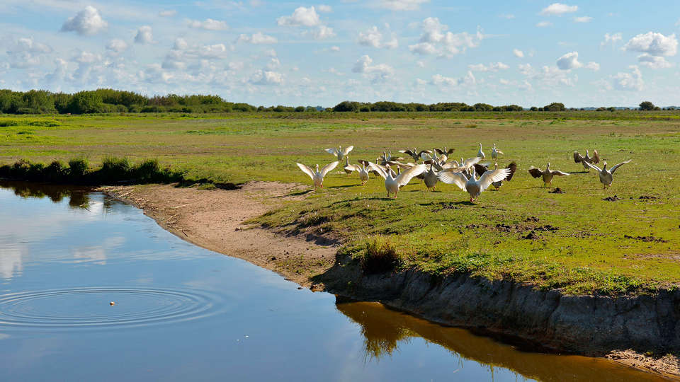 Hôtel Golf & Spa de la Bretesche - EDIT_destination.jpg