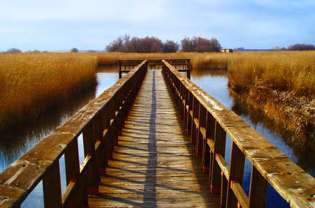 Visite guidée dans le parc national des Tablas de Daimiel