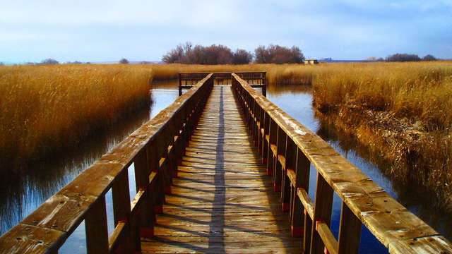 Uitstap met rondleiding naar Tablas de Daimiel