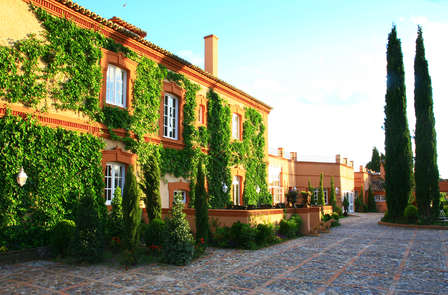 Spa 5*, visite safari dans un domaine à deux pas de Tolède et petit-déjeuner de luxe