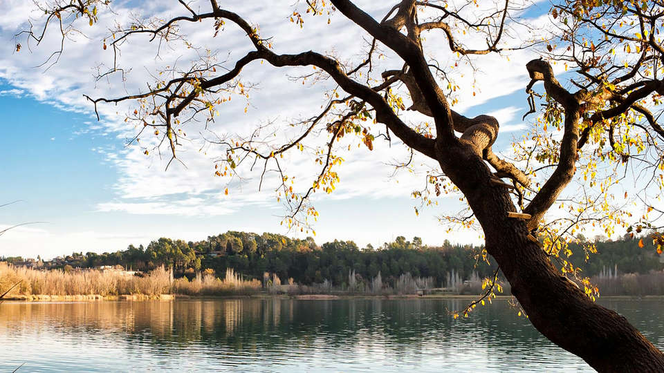 Hotel L' Ast - edit_tree.jpg