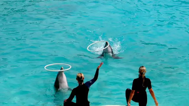 Séjour en famille avec piscine