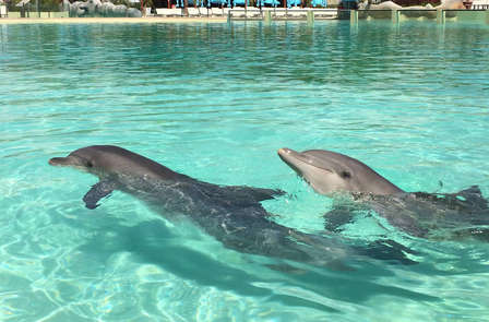 Verblijf in Nice met kaartjes voor Marineland
