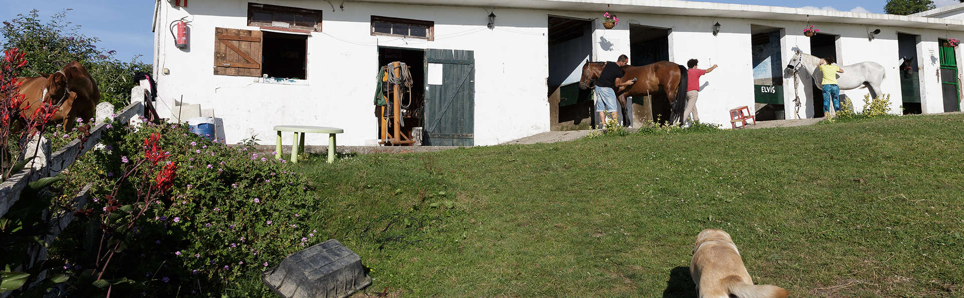 Casona Las Cinco Calderas - edit_horses5.jpg