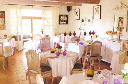 Délices du terroir provençal au cœur des Alpilles