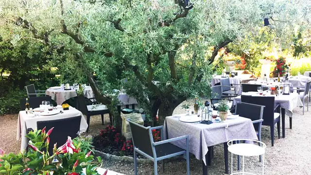 Gastronomisch diner in Saint-Rémy-de-Provence