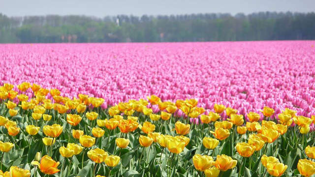 Art Wellness Hotel Huis ten Wolde