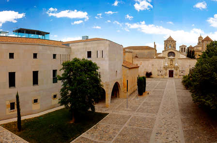 Plongez-vous dans la gastronomie catalane avec visite d'une cave et dégustation à Poblet