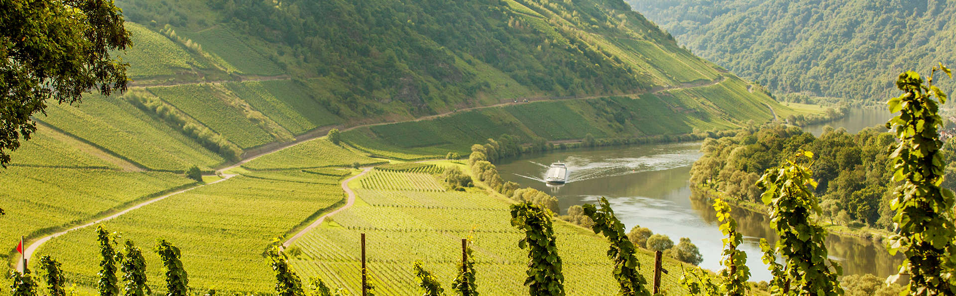 Wyndham Garden Lahnstein Koblenz - EDIT_boat.jpg