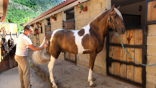 Escapada rural con cava, aperitivo y Visita los establos de caballos cerca de la Sierra de Gredos