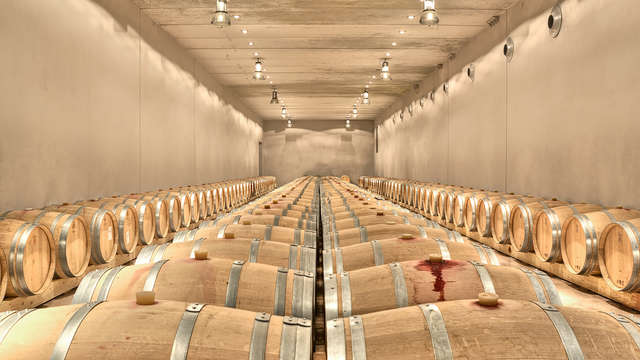 Trossos del Priorat
