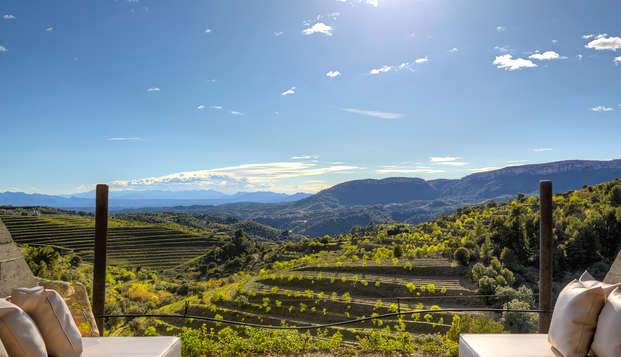 Ontdek Priorat tussen wijngaarden en wijn dicht bij Tarragona