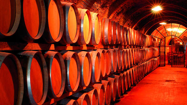 1 Visita de la bodega Cosechero Reunidos Coop para 2 adultos