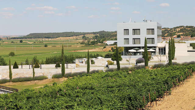 Valbusenda Hotel Bodega Spa