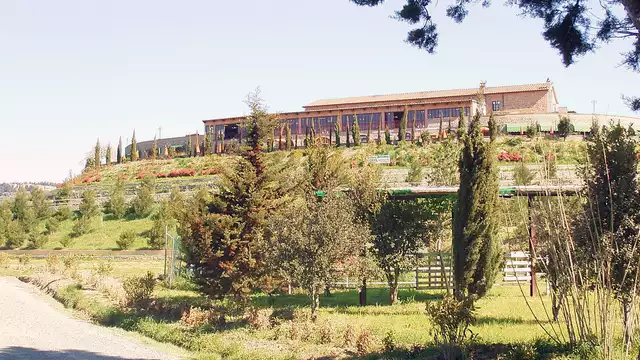 Séjournez dans une chambre quadruple supérieure en demi-pension dans le Val di Cecina, en Toscane.