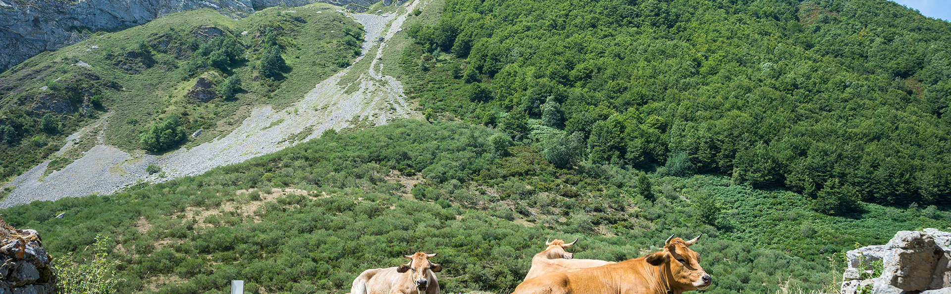Plongez dans la nature asturienne en famille