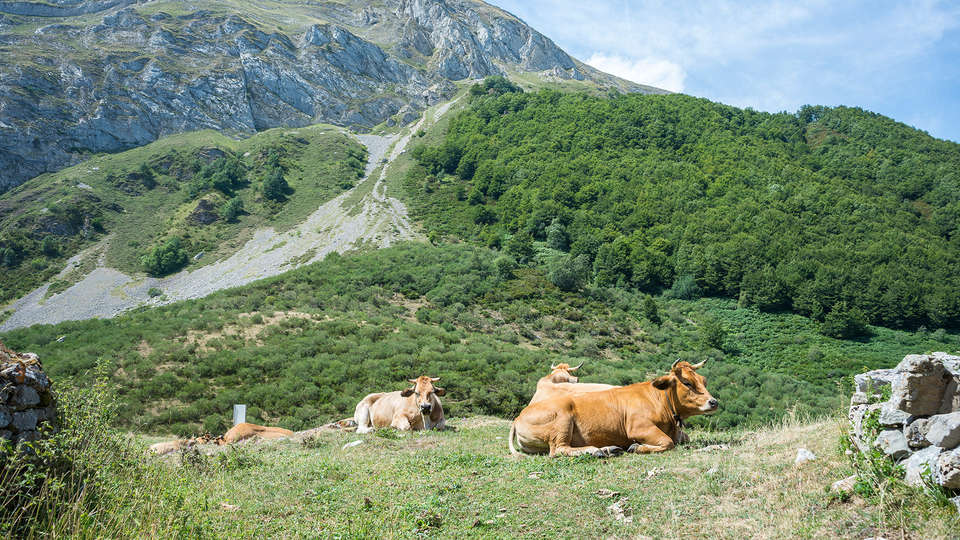 Spa Rural Mirador de Miranda - EDIT_destination.jpg