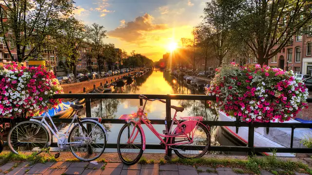 Confort et tranquillité près du centre-ville d'Amsterdam