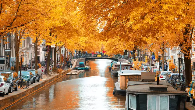 ¡Descubre Ámsterdam y sus muchas atracciones!