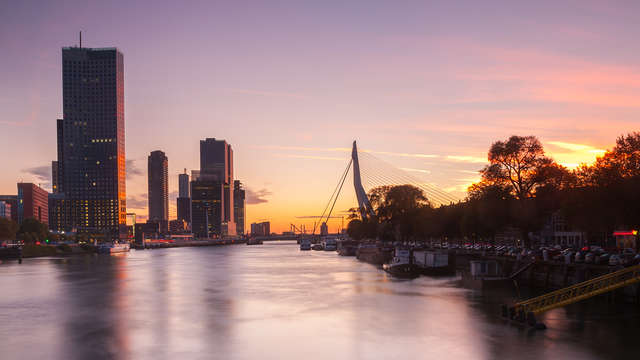 Descansa plácidamente cerca de Rotterdam