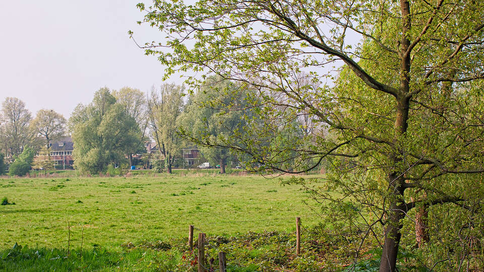 Rust en natuur nabij Hilversum