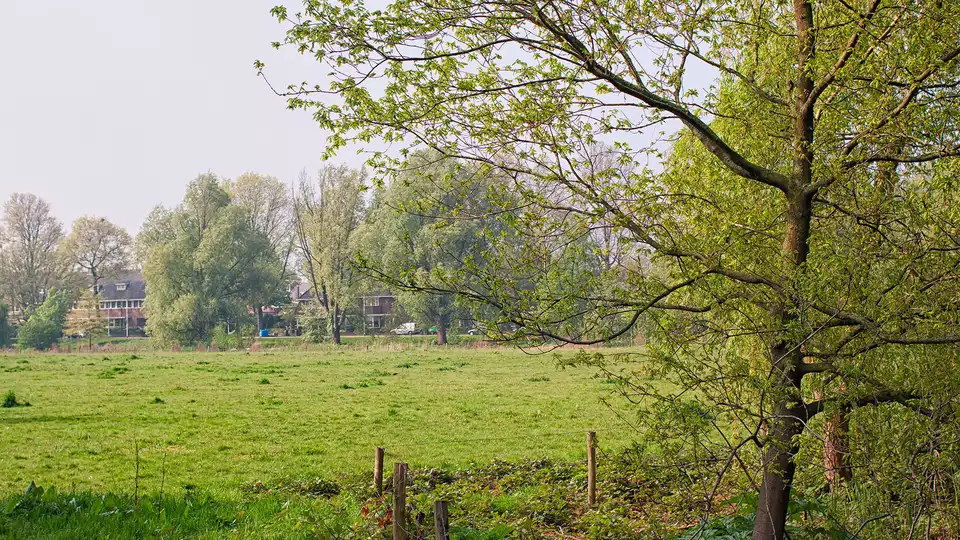 Rust en natuur nabij Hilversum