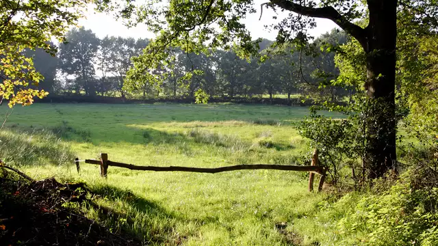 Detente dans la belle province de Drenthe