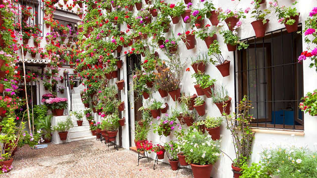 Hotel Soho Boutique Capuchinos Spa