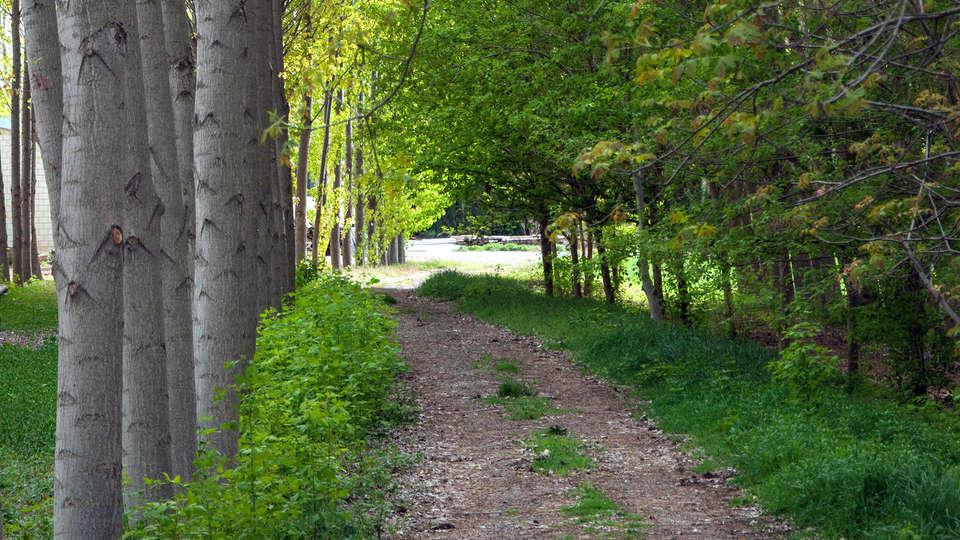 26Labrador.es (Adults Only) - Edit_Entry.jpg