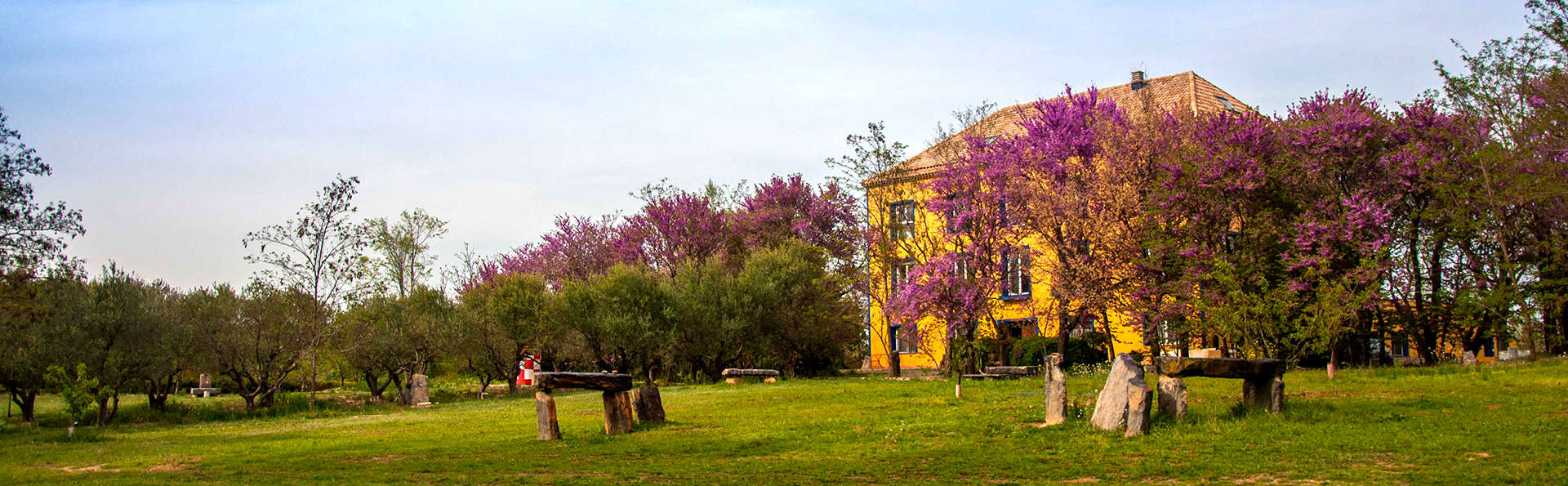 26Labrador.es (Adults Only) - Edit_View.jpg